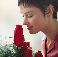 Imagine the smell of roses in your home every month!